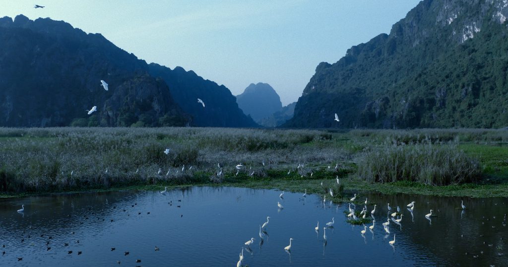 Gallery - Hà Anh Tuấn: Nếu phim tài liệu doanh thu thảm quá, chúng tôi tự bỏ tiền vào cho “Như chưa từng có cuộc chia ly” | Moli Star - image 2